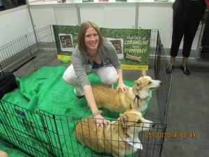 Author KT Grant gets up close and personal with the Corgis.