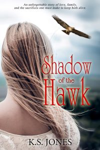 ShadowOfTheHawk_small