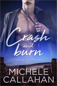 Cover Crash and Burn by M Callahan