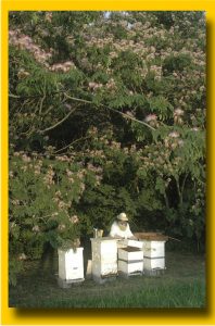 gail with hives (2019_04_15 23_30_14 UTC)