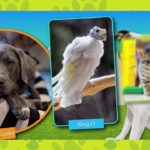 Throw Back Thursday Book Trailer- 125 Pet Rescues National Geographic Books